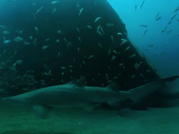  alt="Hot 25 Startups 2019: Ascape"  title="Hot 25 Startups 2019: Ascape" 