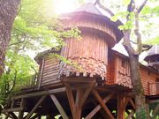  alt="PhocusWire Pulse LIVE STREAM: Rentals On The Rise"  title="PhocusWire Pulse LIVE STREAM: Rentals On The Rise" 