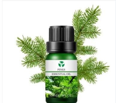 Natural Plant Aromatherapy Oils Private label Organic Post Pine Essential Oil